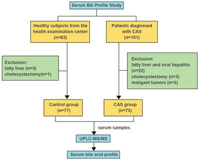 Metabolomics and network pharmacology exploration of the effects of bile acids on carotid atherosclerosis and potential underlying mechanisms